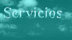 Servicios